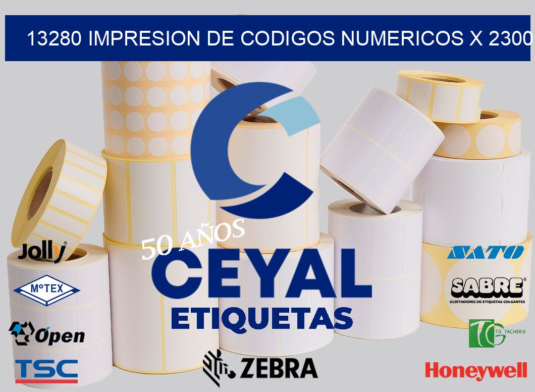 13280 impresion de codigos numericos x 2300