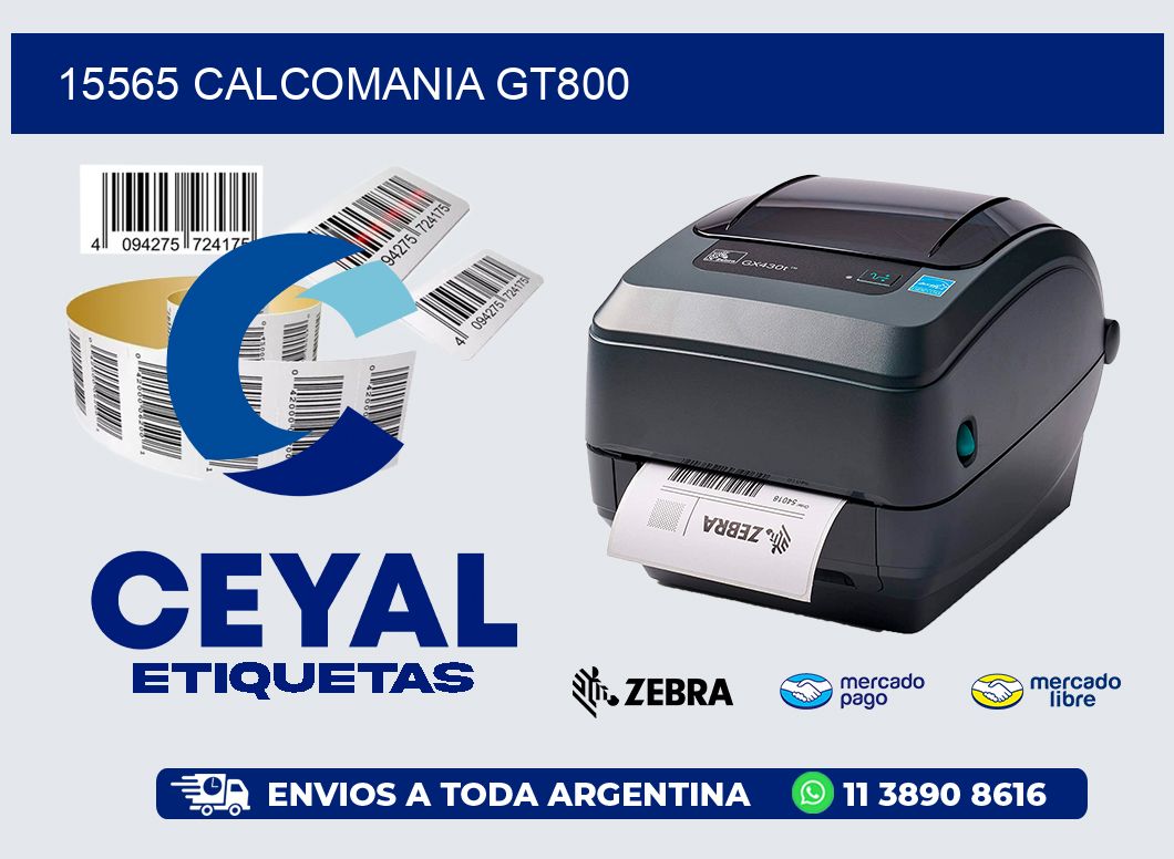 15565 CALCOMANIA GT800