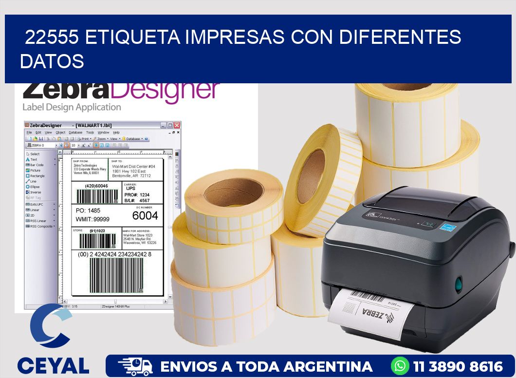 22555 ETIQUETA IMPRESAS CON DIFERENTES DATOS