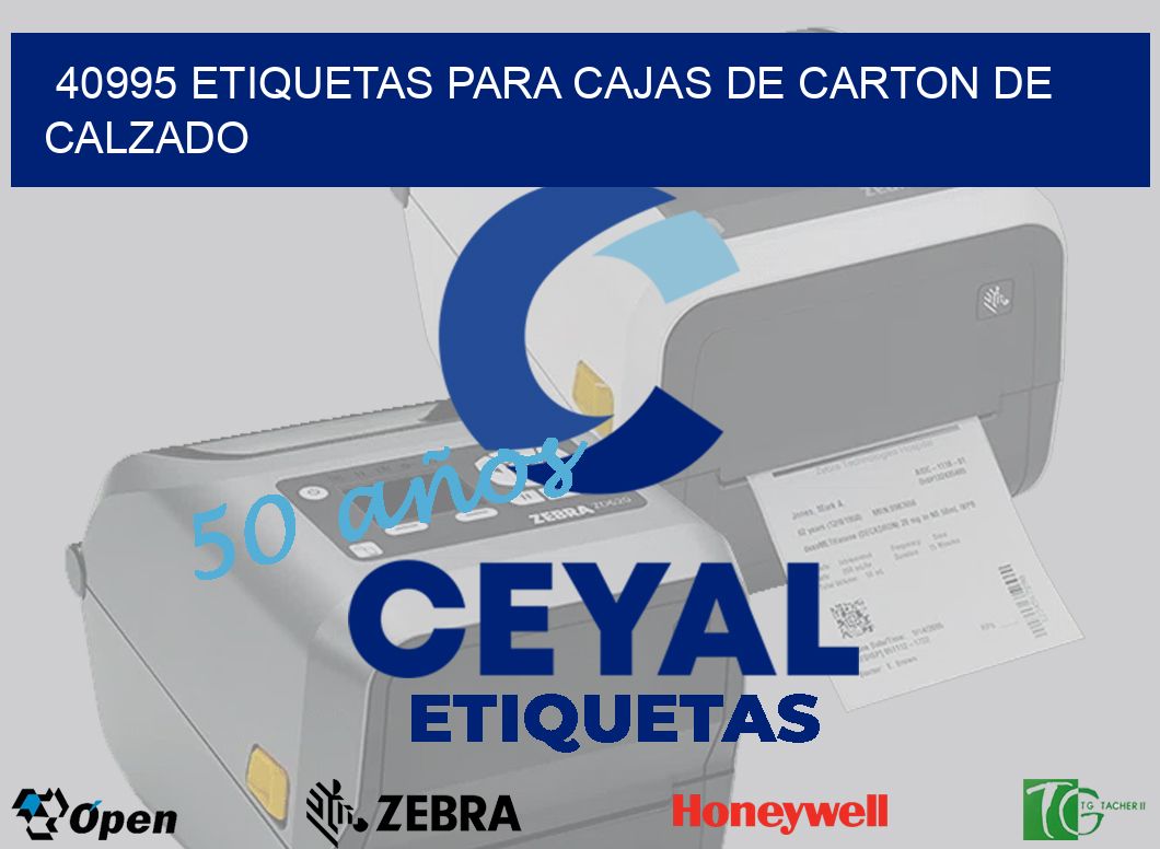 40995 ETIQUETAS PARA CAJAS DE CARTON DE CALZADO