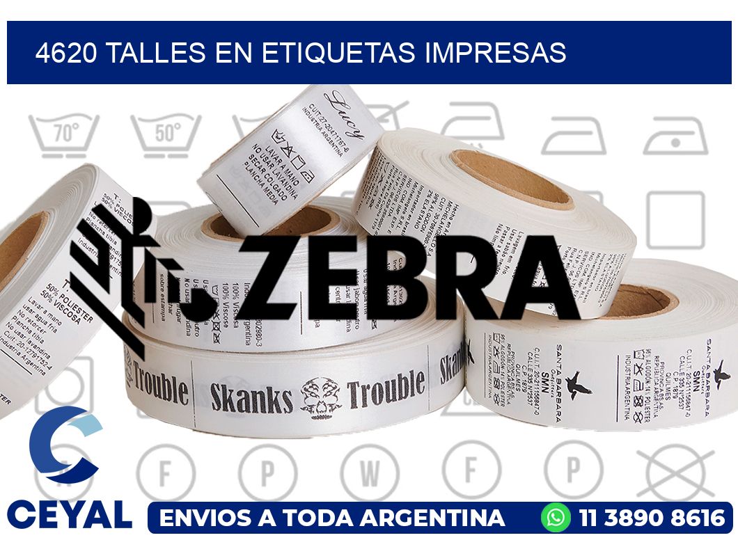 4620 TALLES EN ETIQUETAS IMPRESAS