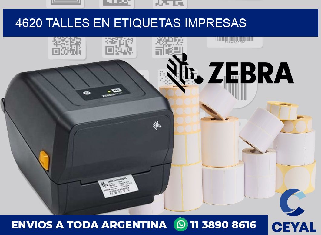4620 TALLES EN ETIQUETAS IMPRESAS