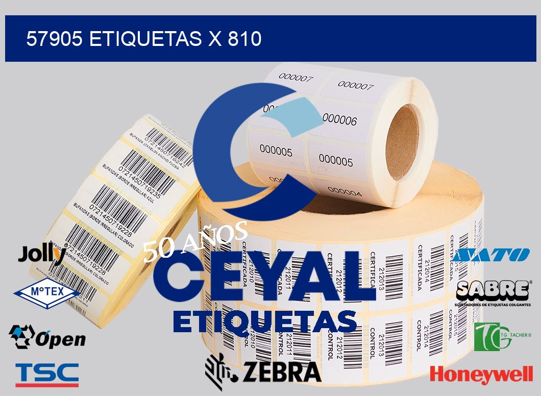 57905 Etiquetas x 810