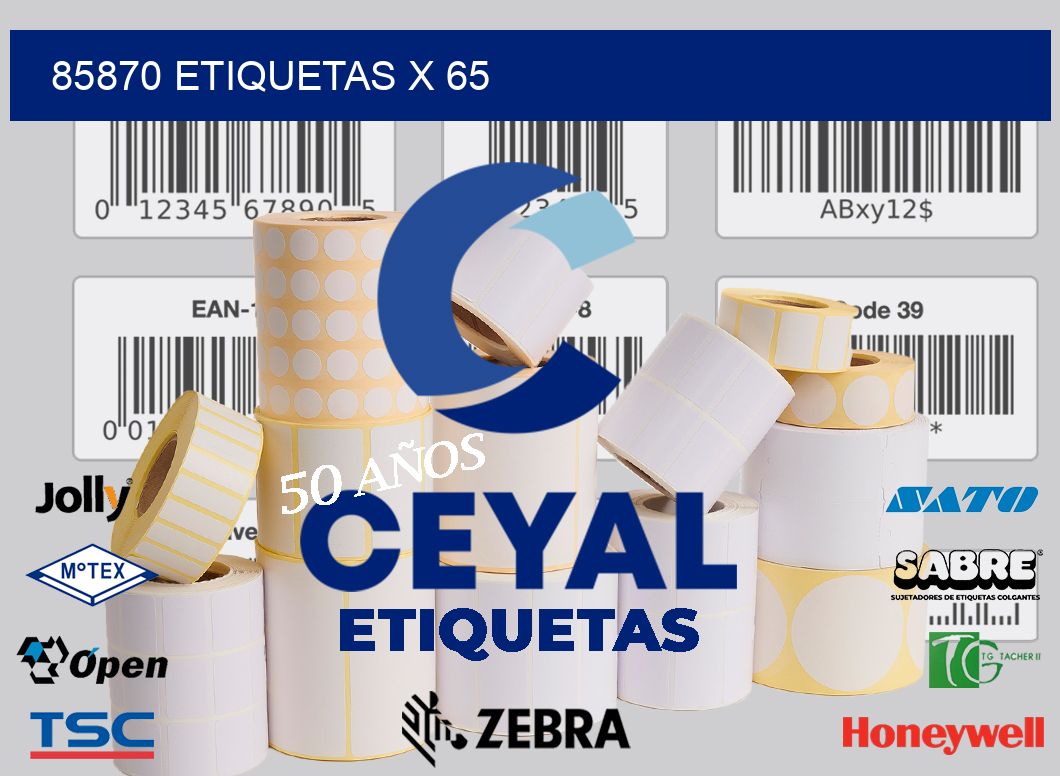85870 Etiquetas x 65