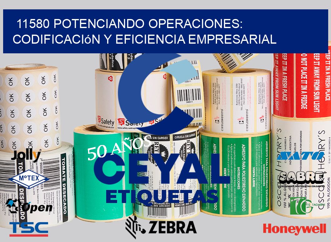 11580 Potenciando Operaciones: Codificación y Eficiencia Empresarial
