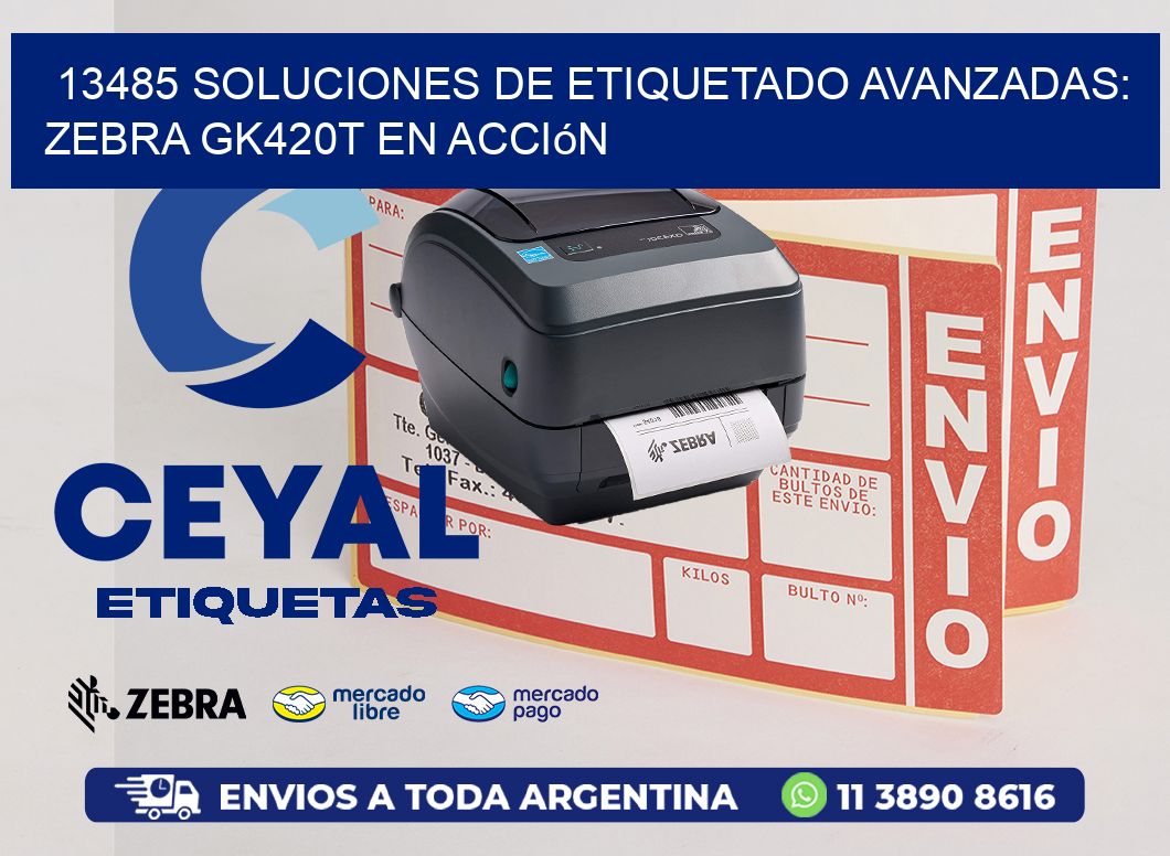 13485 Soluciones de Etiquetado Avanzadas: Zebra GK420T en Acción