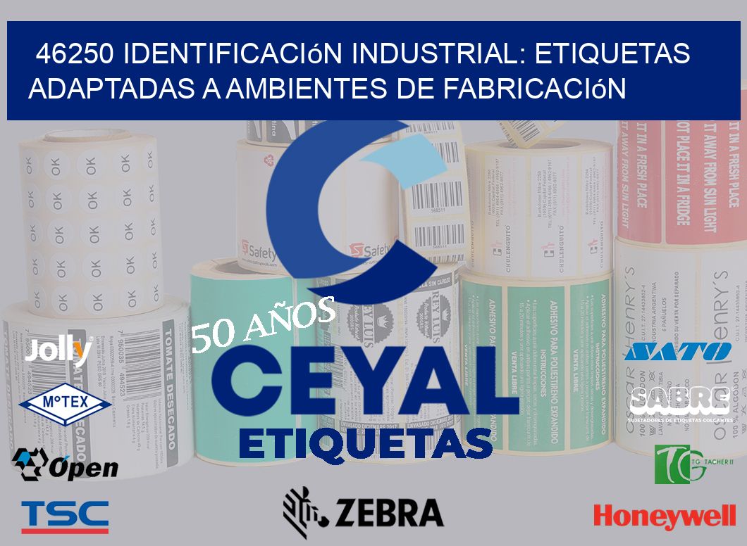 46250 Identificación Industrial: Etiquetas Adaptadas a Ambientes de Fabricación
