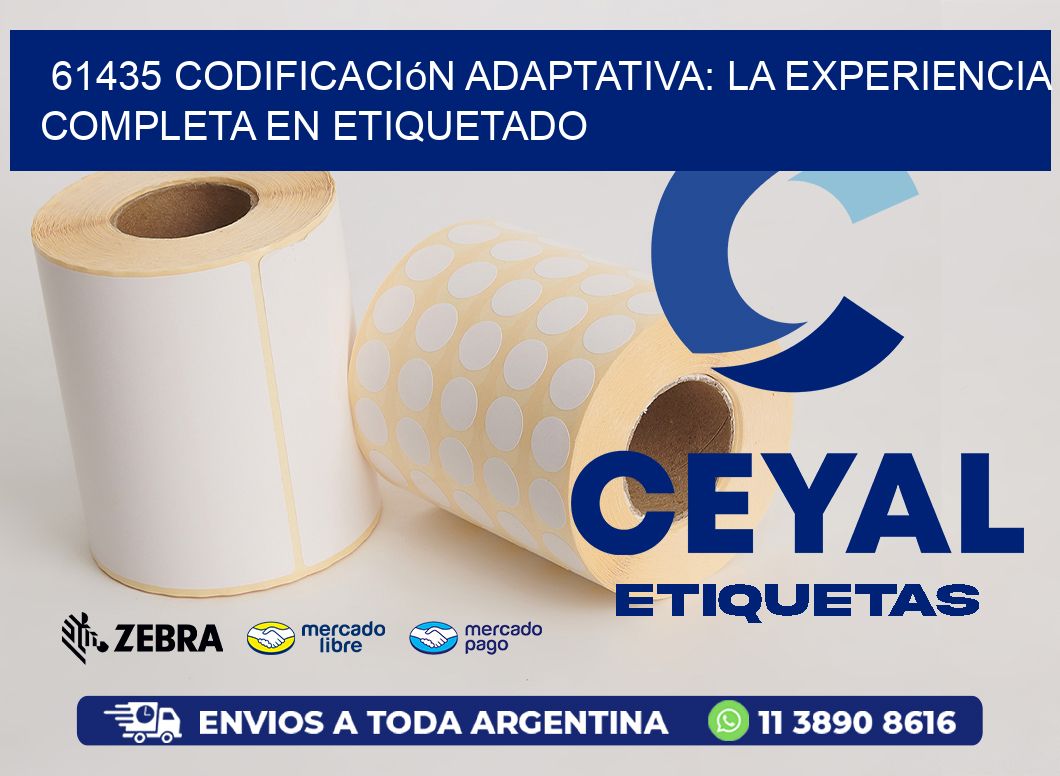 61435 Codificación Adaptativa: La Experiencia Completa en Etiquetado