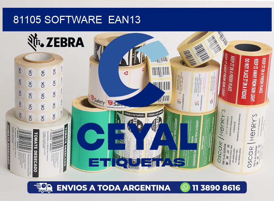 81105 SOFTWARE  EAN13