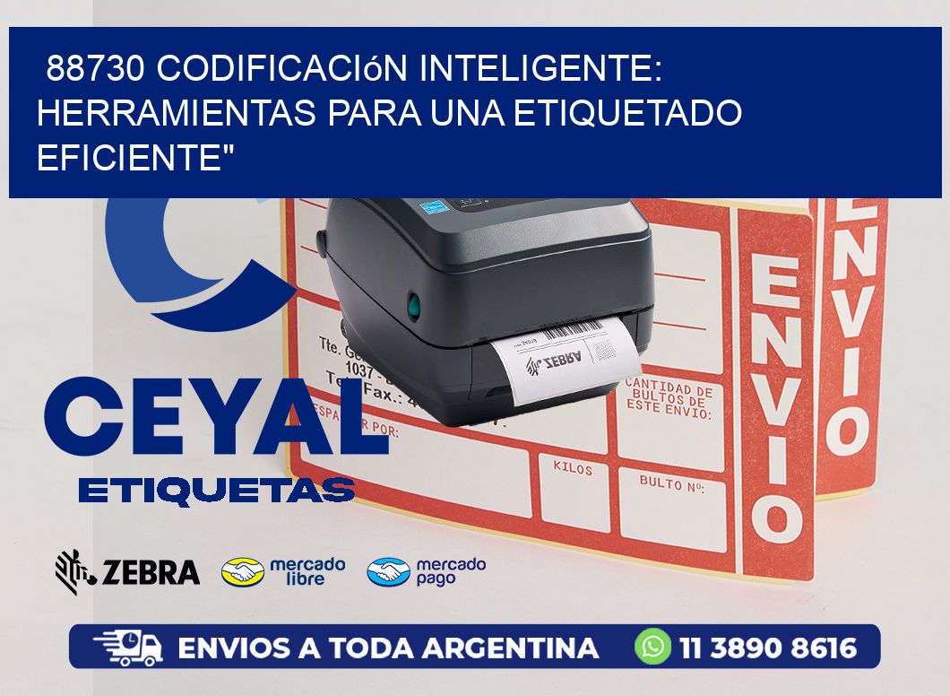 88730 Codificación Inteligente: Herramientas para una Etiquetado Eficiente