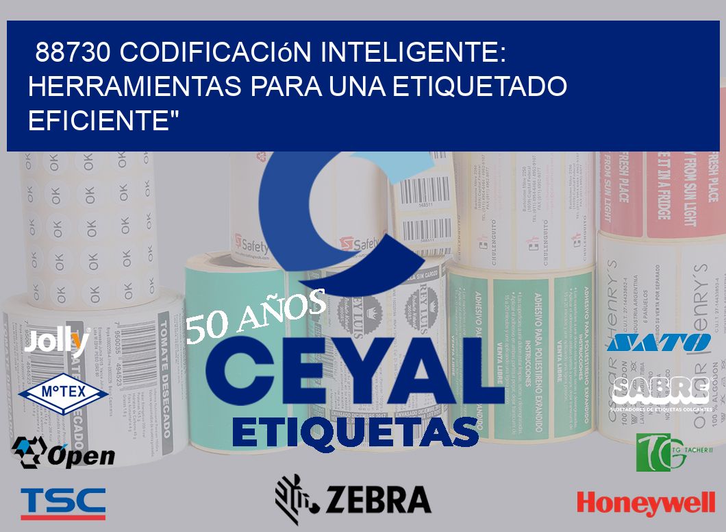 88730 Codificación Inteligente: Herramientas para una Etiquetado Eficiente”