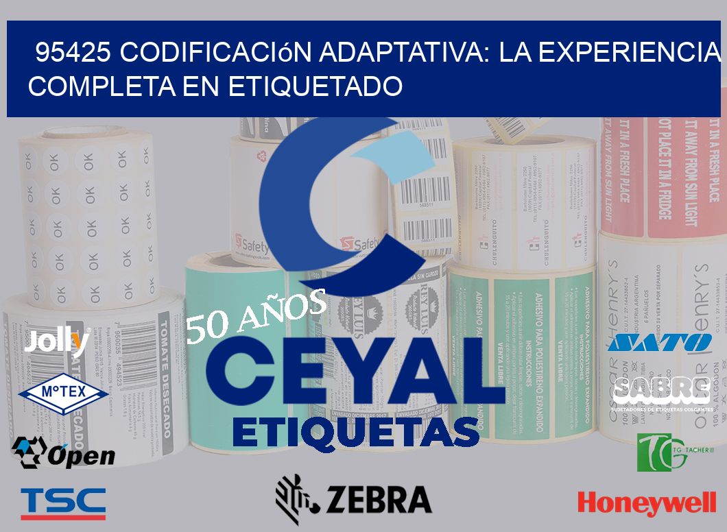 95425 Codificación Adaptativa: La Experiencia Completa en Etiquetado