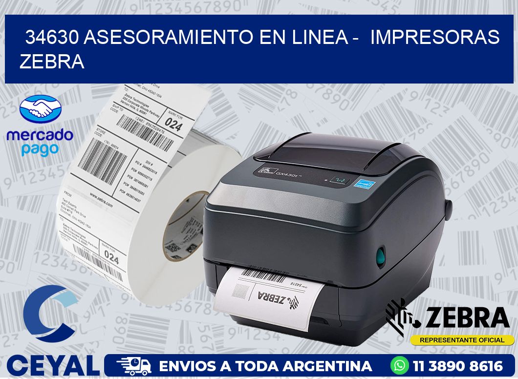 34630 ASESORAMIENTO EN LINEA - IMPRESORAS ZEBRA