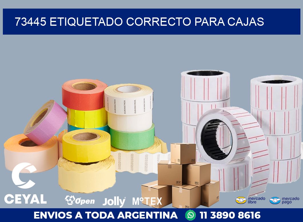 73445 ETIQUETADO CORRECTO PARA CAJAS