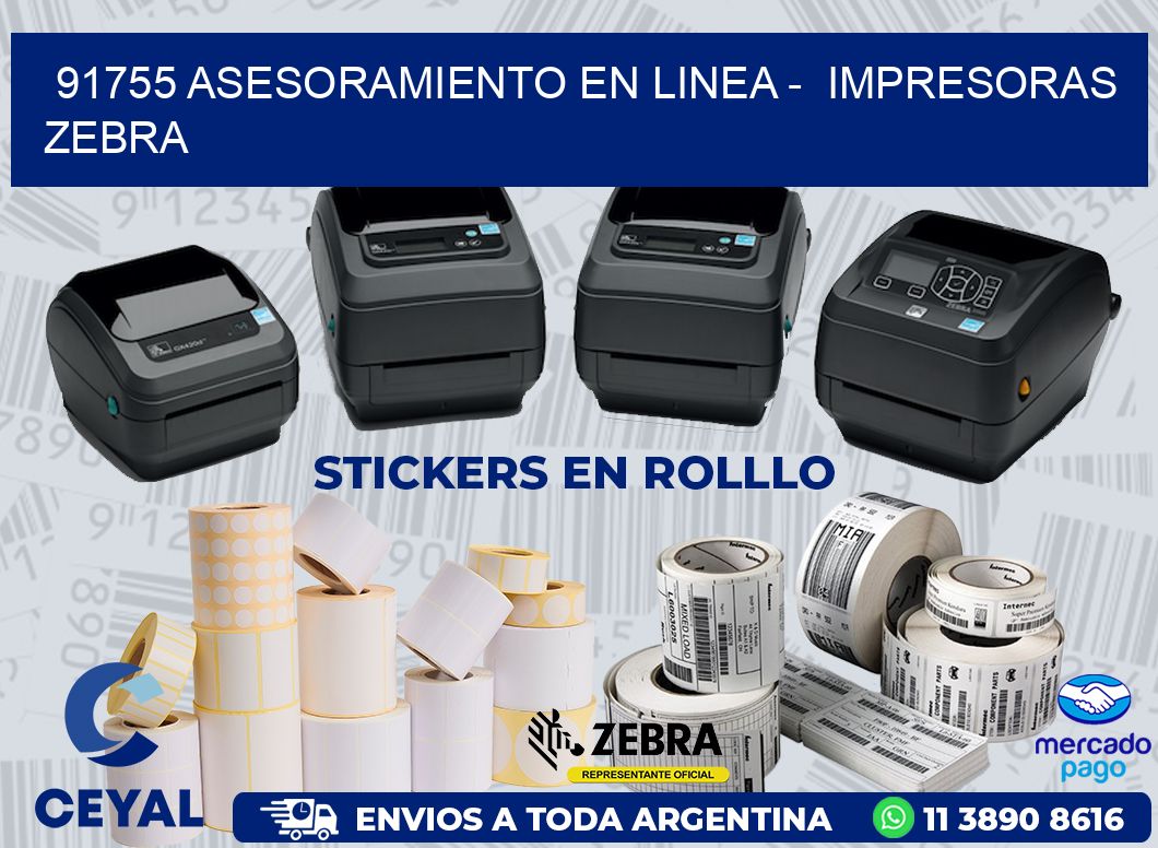 91755 ASESORAMIENTO EN LINEA -  IMPRESORAS ZEBRA