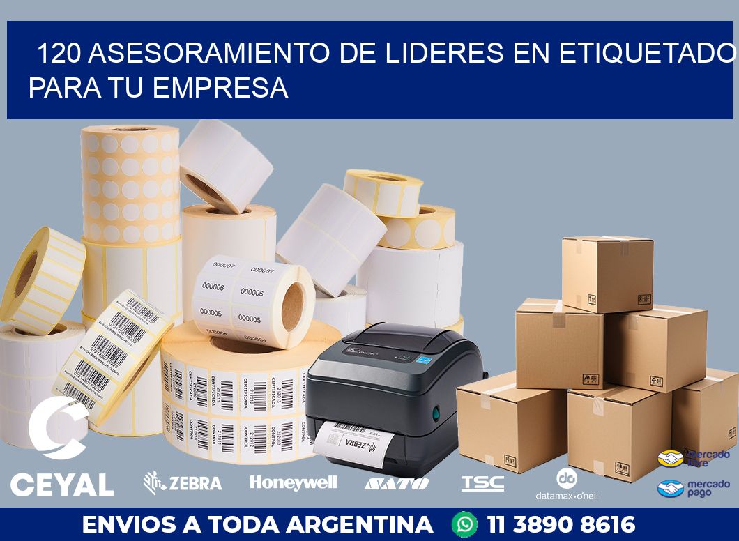 120 ASESORAMIENTO DE LIDERES EN ETIQUETADO PARA TU EMPRESA