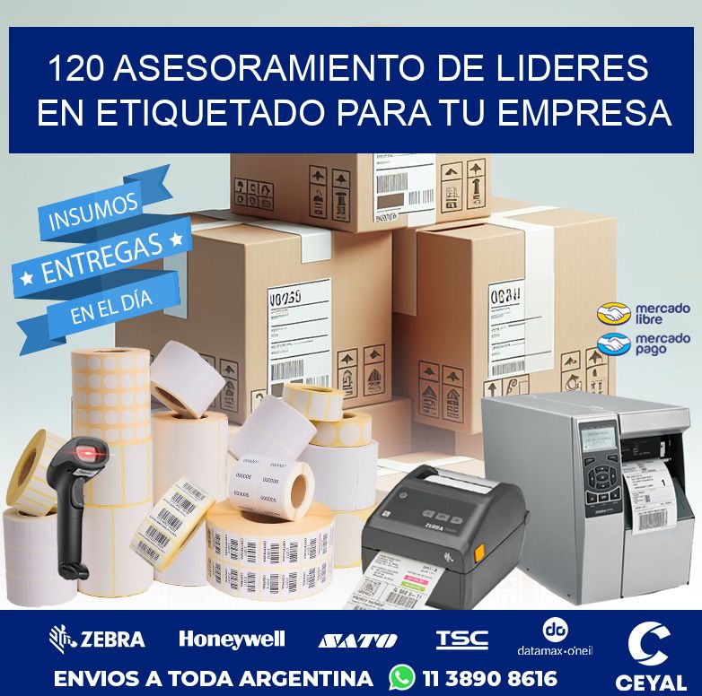 120 ASESORAMIENTO DE LIDERES EN ETIQUETADO PARA TU EMPRESA