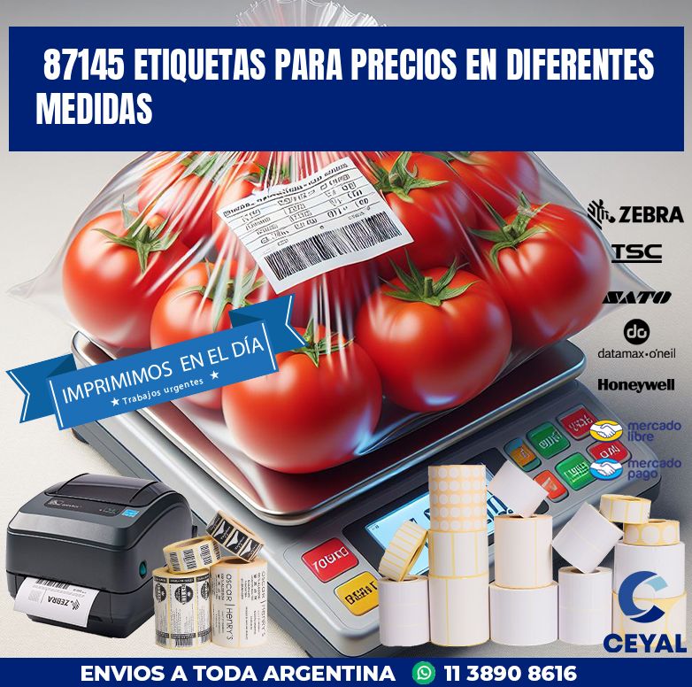 87145 ETIQUETAS PARA PRECIOS EN DIFERENTES MEDIDAS