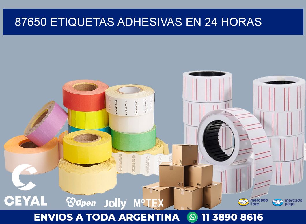87650 ETIQUETAS ADHESIVAS EN 24 HORAS