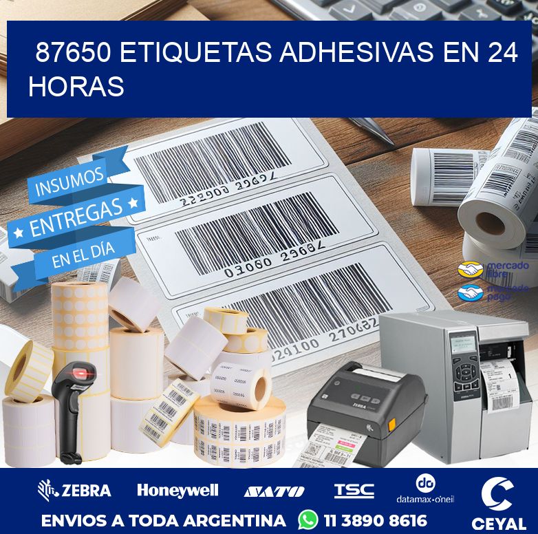 87650 ETIQUETAS ADHESIVAS EN 24 HORAS