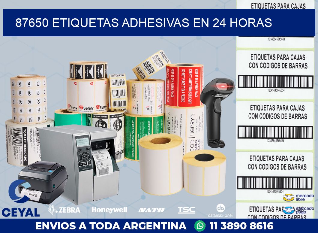 87650 ETIQUETAS ADHESIVAS EN 24 HORAS