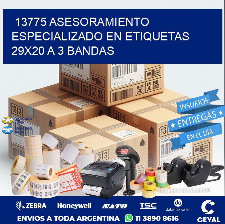 13775 ASESORAMIENTO ESPECIALIZADO EN ETIQUETAS 29X20 A 3 BANDAS