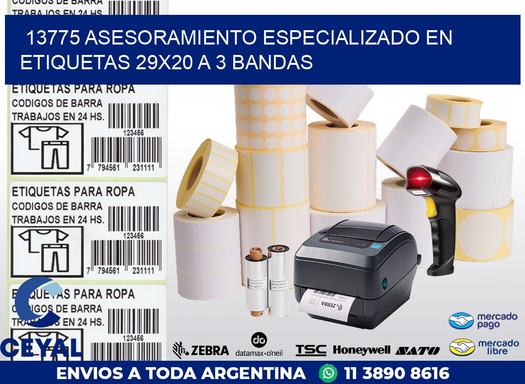 13775 ASESORAMIENTO ESPECIALIZADO EN ETIQUETAS 29X20 A 3 BANDAS