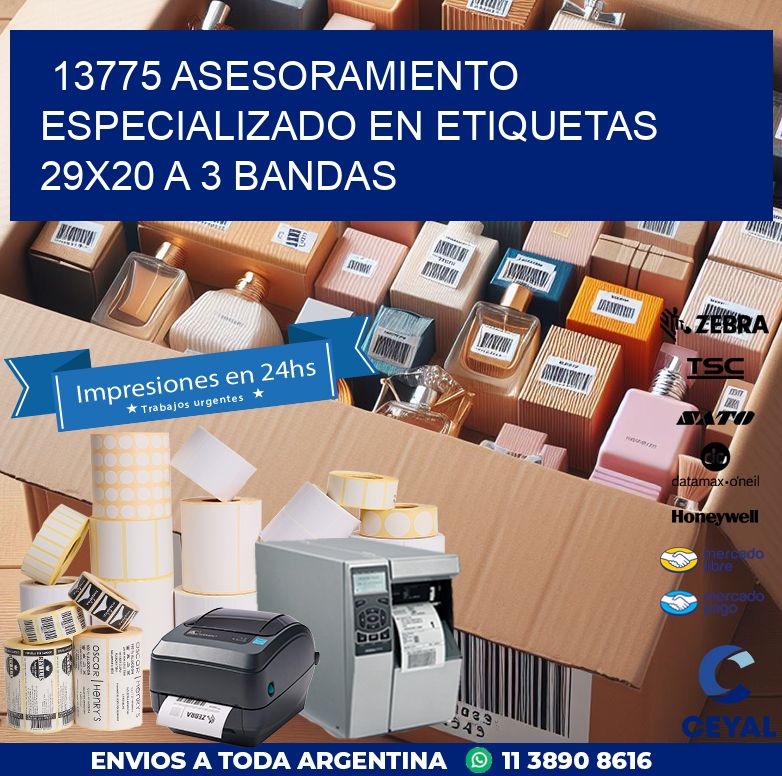 13775 ASESORAMIENTO ESPECIALIZADO EN ETIQUETAS 29X20 A 3 BANDAS