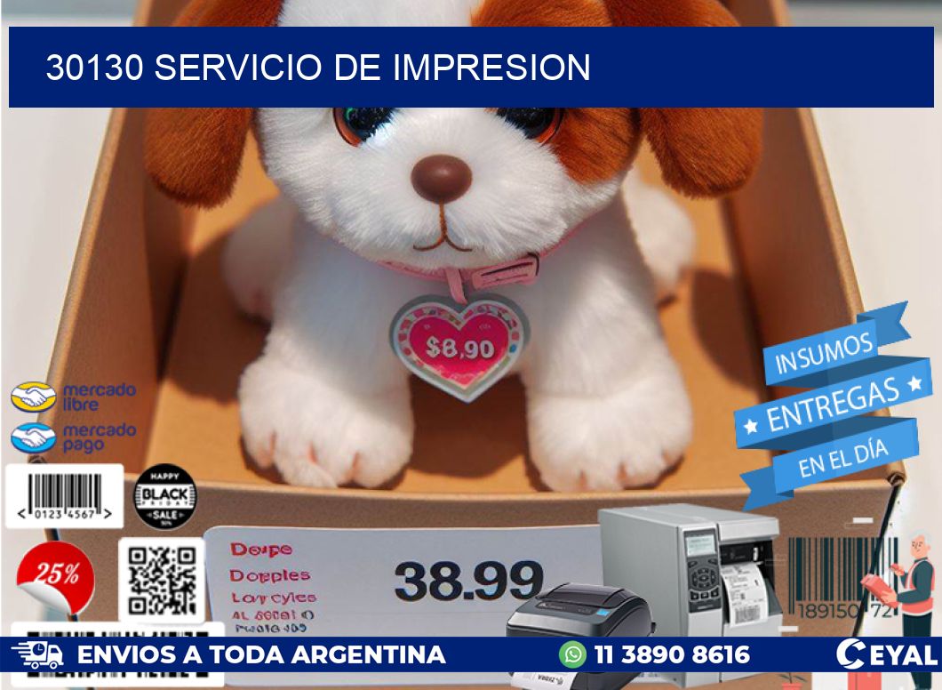 30130 SERVICIO DE IMPRESION