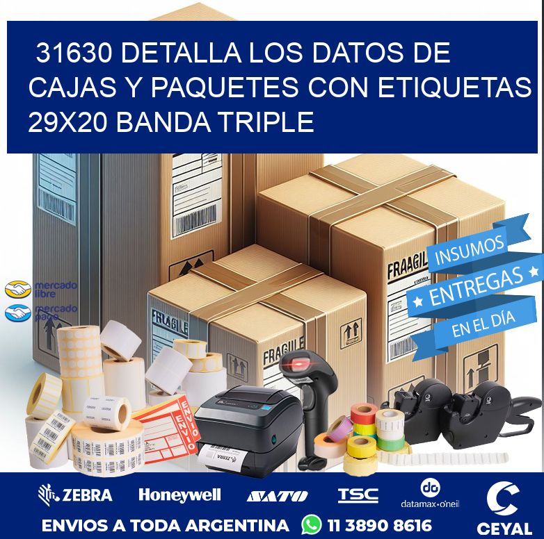 31630 DETALLA LOS DATOS DE CAJAS Y PAQUETES CON ETIQUETAS 29X20 BANDA TRIPLE