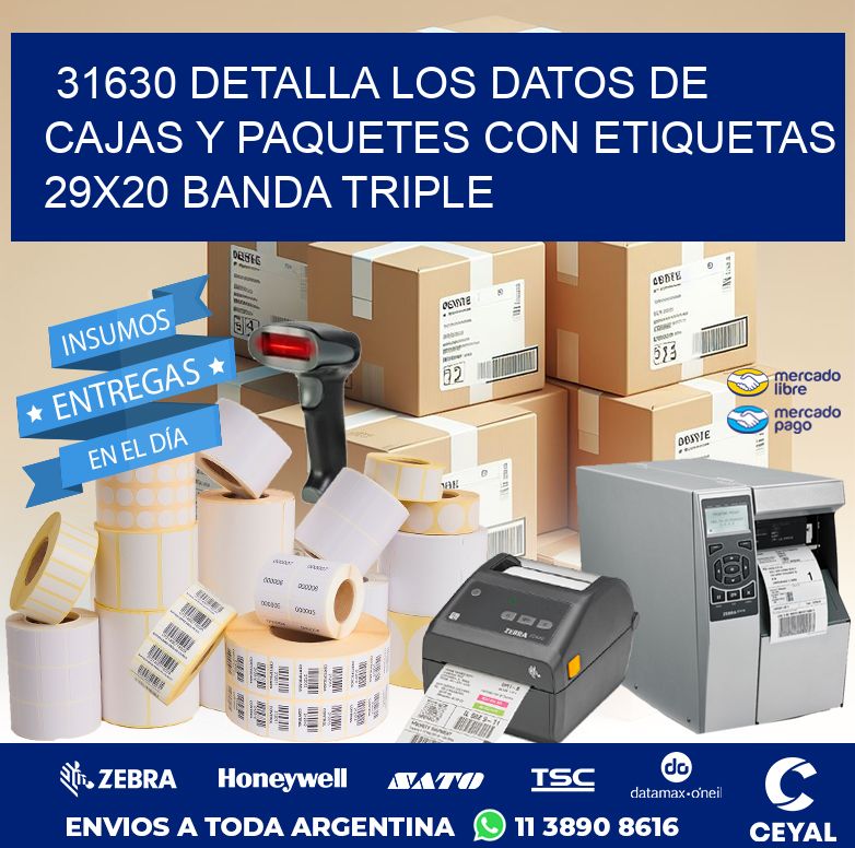 31630 DETALLA LOS DATOS DE CAJAS Y PAQUETES CON ETIQUETAS 29X20 BANDA TRIPLE