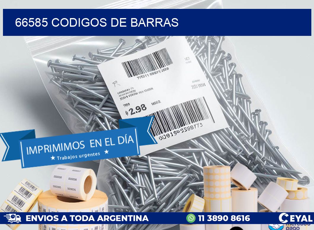 66585 codigos de barras