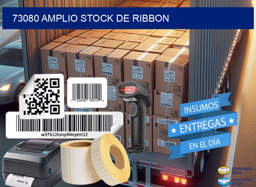 73080 AMPLIO STOCK DE RIBBON