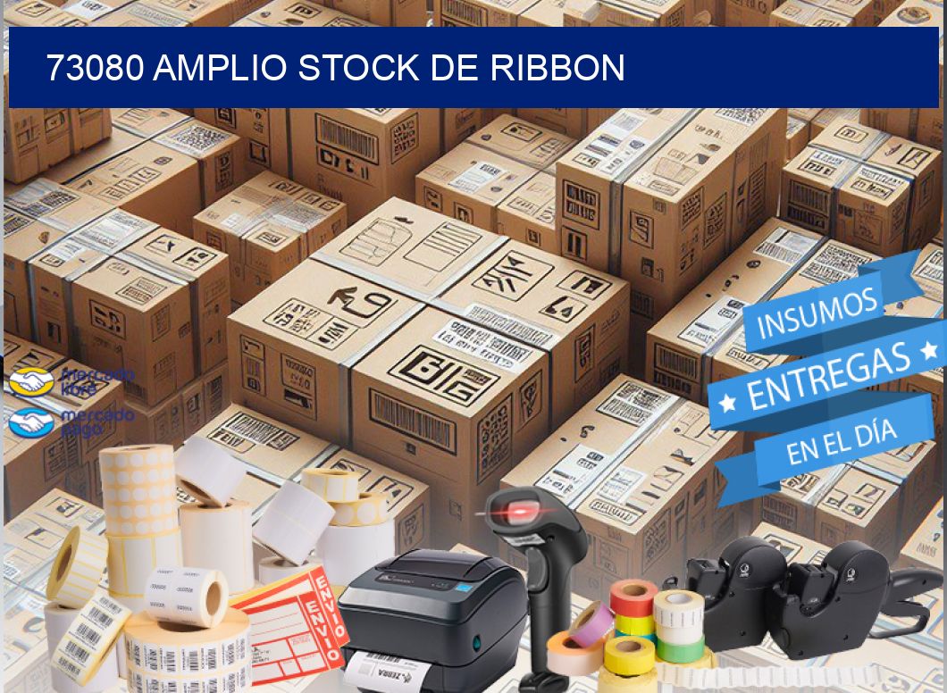 73080 AMPLIO STOCK DE RIBBON