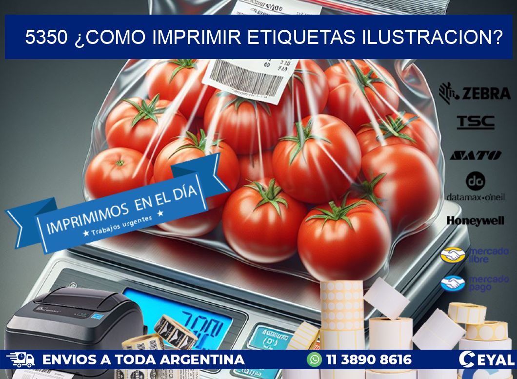 5350 ¿COMO IMPRIMIR ETIQUETAS ILUSTRACION?