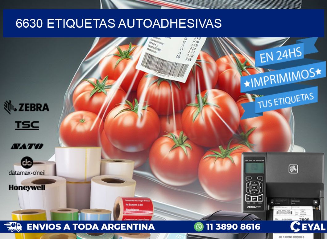 6630 ETIQUETAS AUTOADHESIVAS