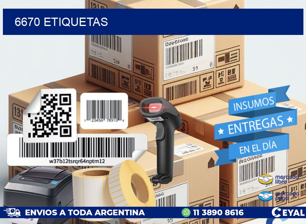 6670 ETIQUETAS