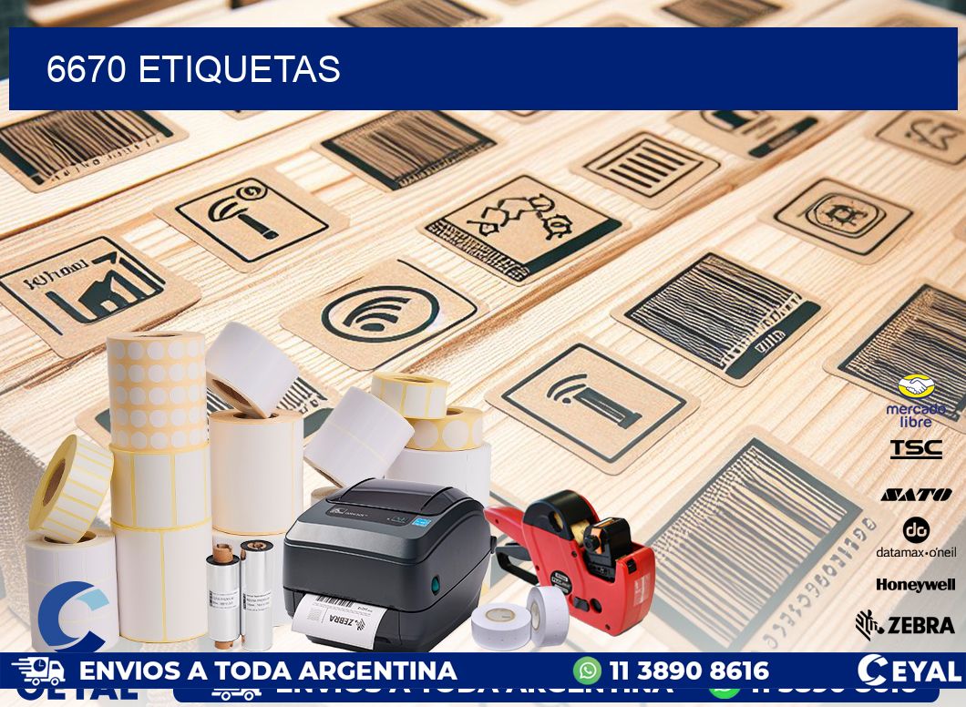 6670 ETIQUETAS