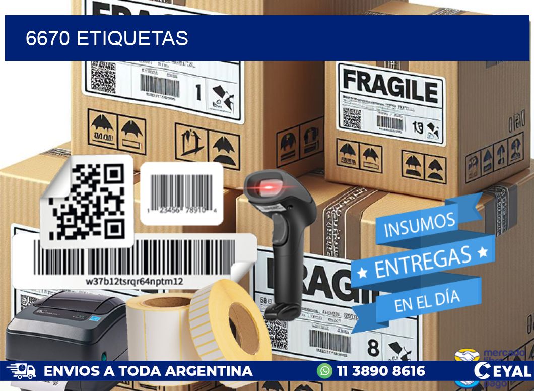 6670 ETIQUETAS