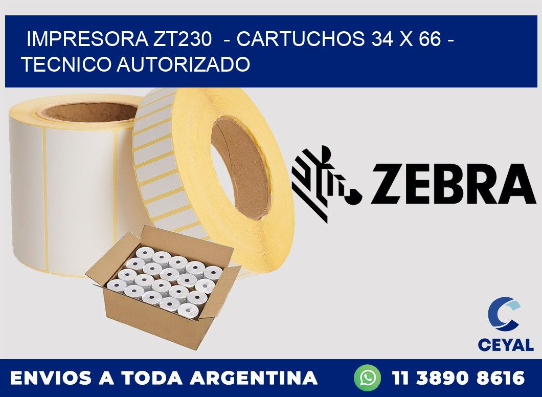 IMPRESORA ZT230 - CARTUCHOS 34 x 66 - TECNICO AUTORIZADO