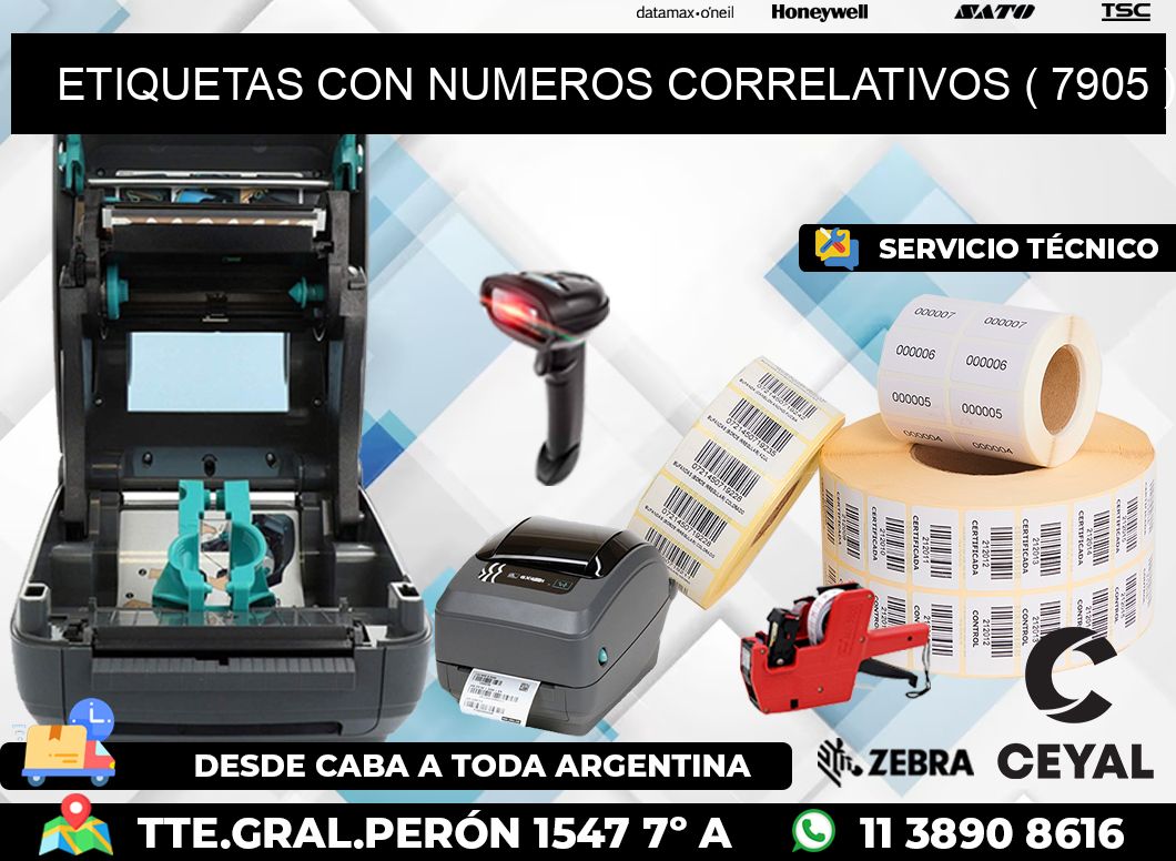 ETIQUETAS CON NUMEROS CORRELATIVOS ( 7905 )