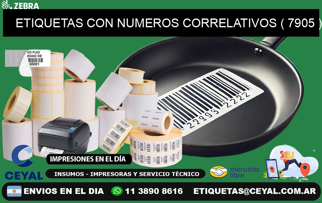 ETIQUETAS CON NUMEROS CORRELATIVOS ( 7905 )