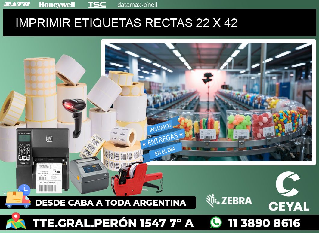 IMPRIMIR ETIQUETAS RECTAS 22 x 42