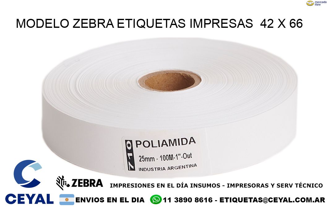MODELO ZEBRA ETIQUETAS IMPRESAS 42 x 66