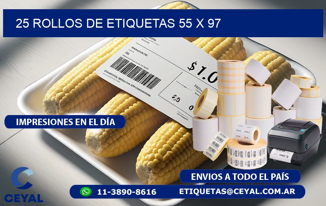 25 ROLLOS DE ETIQUETAS 55 x 97