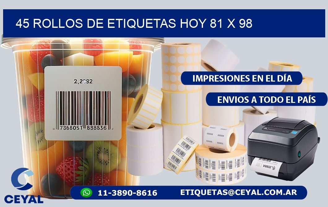 45 ROLLOS DE ETIQUETAS HOY 81 x 98