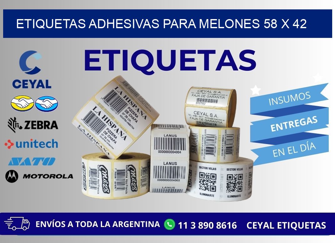 ETIQUETAS ADHESIVAS PARA MELONES 58 x 42