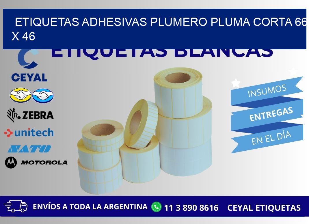 ETIQUETAS ADHESIVAS PLUMERO PLUMA CORTA 66 x 46