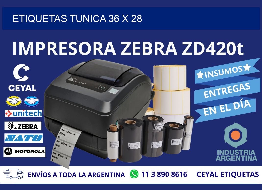 ETIQUETAS TUNICA 36 x 28