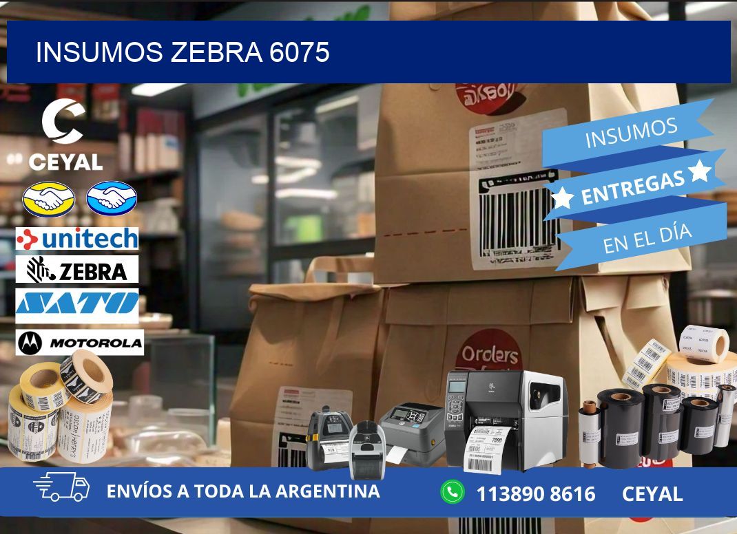 INSUMOS ZEBRA 6075